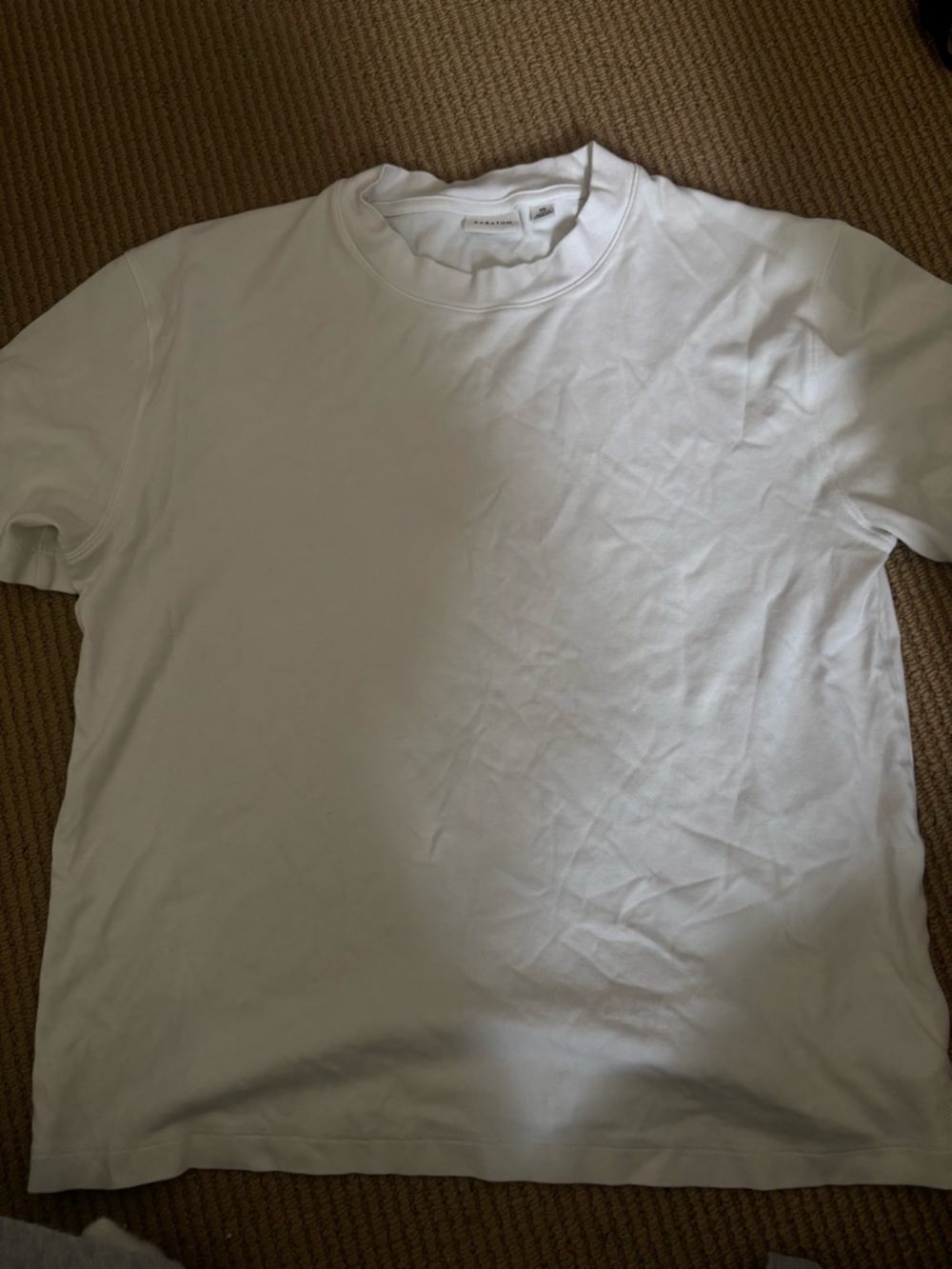 Aritzia pegasus tshirt